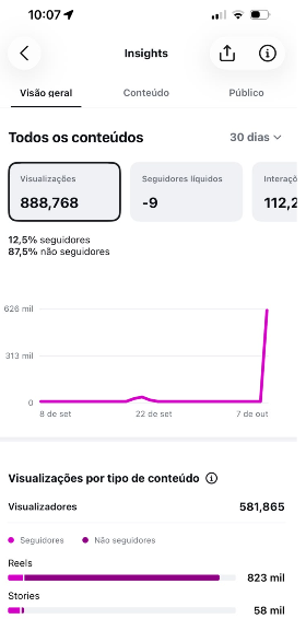 Instagram Insights — Visão geral